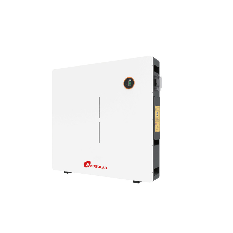 48V 51.2V 100AH 200AH 300AH Solar Power Lithium Ion Battery Wall with OEM/ODM Service